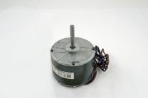 MOT2644.jpg